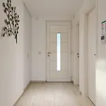 Insula